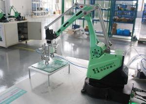 Quality 3 Axis 4 Axis Programmable Handling Palletizing Robot Arm for sale