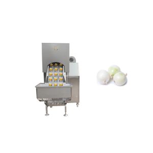 Quality SUS304 1.0MPa 3000kg/H Washing Onion Peeling Machine for sale