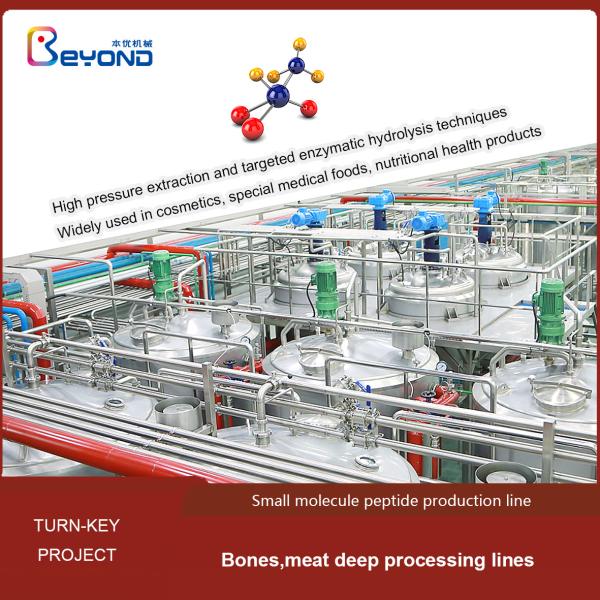 Customized Cosmetics Medical Foods Molecule Peptide Production Line