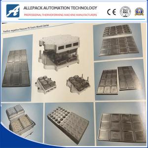 Quality Custom Thermoforming Mould Large Plastic Parts ISO Certification for sale