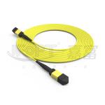 10 Gigabits MPO patch cord Fast Connection for optical signal connection in
