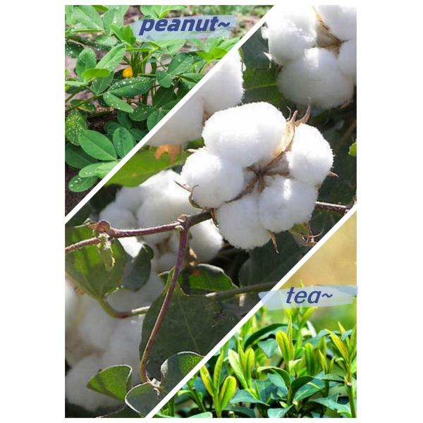 Black Brown Organic Fertilizer For Soil Conditioner Gardening Fertilizer