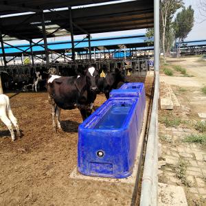 Quality Durable 4m Livestock Water Tank 260L LLDPE Animal Water Trough for sale