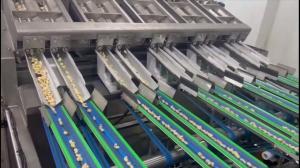 Quality State-of-the-Art Cashew Kernel Sorting Equipment with Full 360° AI-Based Defect and Grade Detection Capacity 470-670kgs/hour for sale