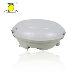 China Waterproof LED IP65 Ceiling Mounted Emergency Lights on sale