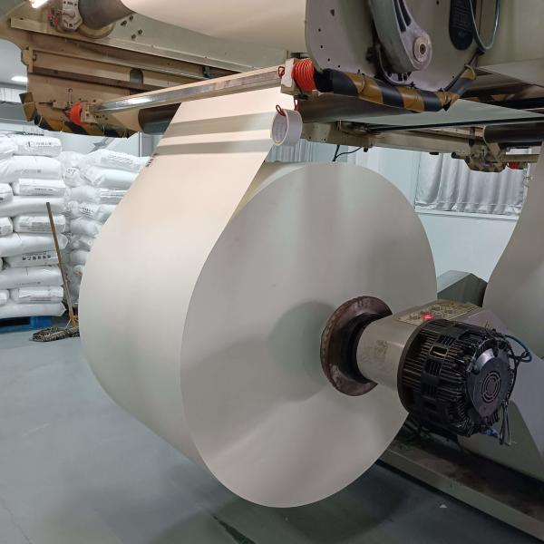 Biodegradable PLA Coated Paper Roll Customizable For Food Packaging Solutions