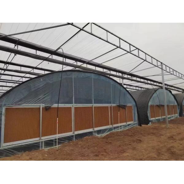 Commercial Agriculture High Tunnel Green Houses Single Span Metal Frame Greenhouse