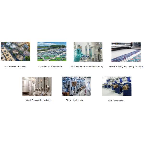 Advanced Maximize Air Flow High Pressure Centrifugal Blower High Speed For Optimal Industrial Performance