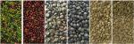 Optical Bean sorting machines CCD Six Chutes Bean Color Sorter