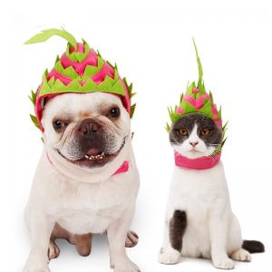 Quality Headset Fire Dragon Fruit Shape Pet Headdress For Christmas for sale