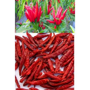 Good Taste Dried Chili De Arbol Mild Dried Red Chilies SHU 5000