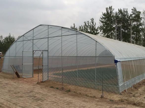 Small Area Single Tunnel Greenhouse Easy Install For Nursery / Flower Farming