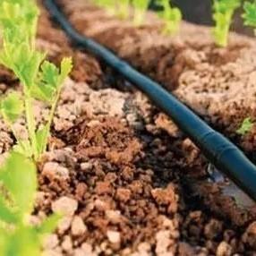 Buy Simple Structure Greenhouse Drip Irrigation System With Pe Pipe Material at wholesale prices