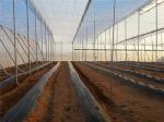Nets And Crop Covers, Bird Control Net, Strong Polyethylene Fabrics, Pest