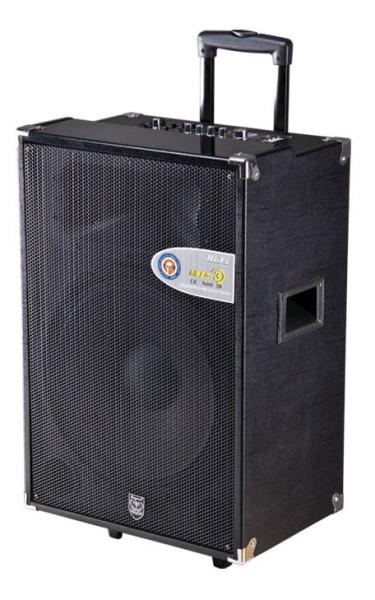 Buy active trolley speaker/portable speaker with usb/sd function at wholesale prices