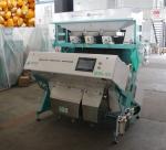 2T/H-4T/H Seed Corn Sorting Machine Easy Operate Colour Separation Machine