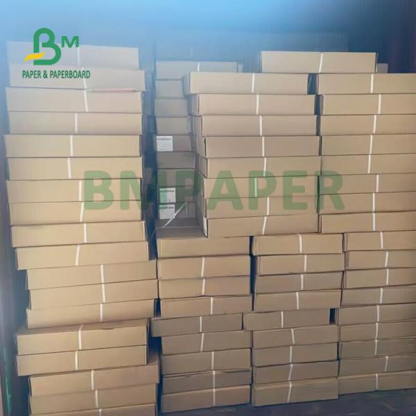 Double Sided Blueprint Engineering Paper Roll For Wide Format 24" x 50 yards 