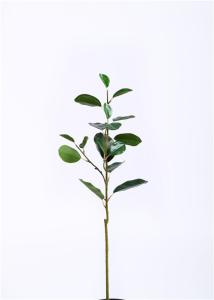 Quality Ficus Microcarpa Artificial Tree Branches Minimal Care Hand Crafted Breathtakingly Real for sale