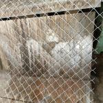 Customizable Galvanized Diamond Wire Netting Chain Link Fence and Customizable