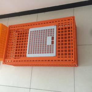 China 98cm Plastic Chicken Transport Box on sale