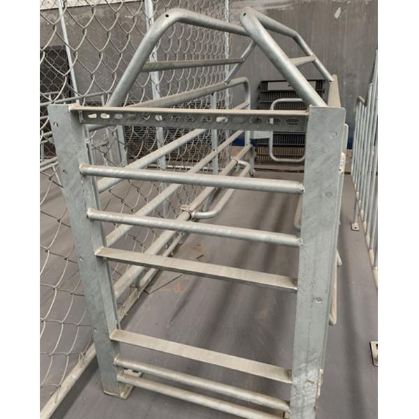 Safe And Strong Pig Birthing Crates , Breeding Crate For Swine Easy To Clean