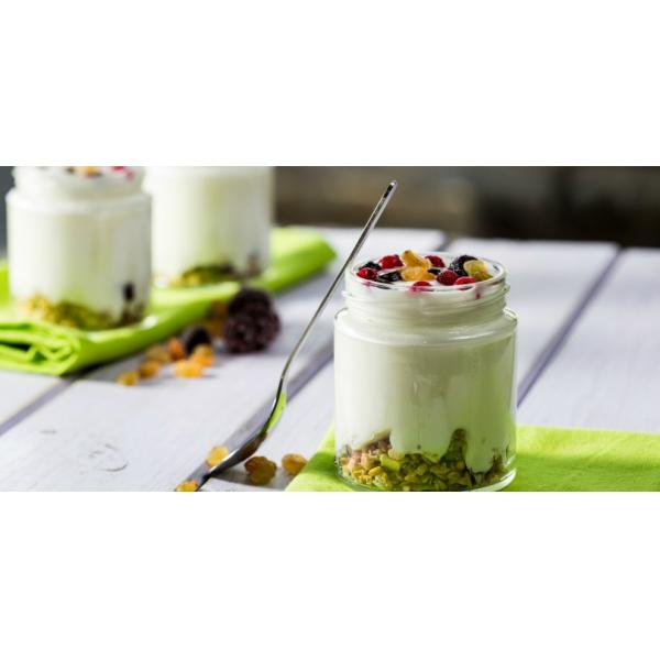 Light Weight Delicate 1L Manual Yogurt Maker With BPA Free Nutritious