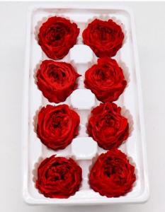 Quality Long Life Preserved Rose Flower Fantastic For Crafting Holiday Ornaments for sale
