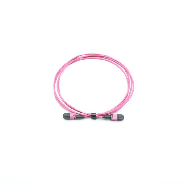 2m Polarity Changeable Senko MPO Trunk Cable Multimode 12F Fiber Optic Patch Cord