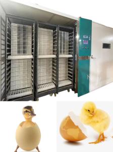 Quality Automatic Large Scale Chicken Egg Hatching Machine Hatching Rate 98% for sale