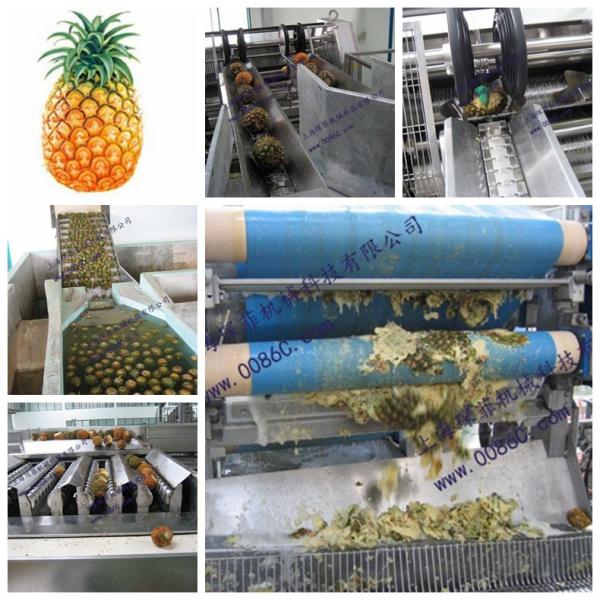 Buy Fruit Processing Automatic Pineapple Processing Line Juice Filling Machine at wholesale prices