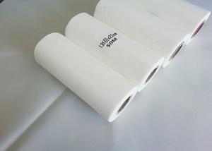 100 Mesh Polyester Filter Mesh Screen Roll 39 T 55 Micron Plain And Twill Weave