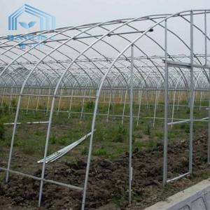 China Plastic Film Tunnel Single Span Greenhouse Heat Preservation For Winter Tomato on sale