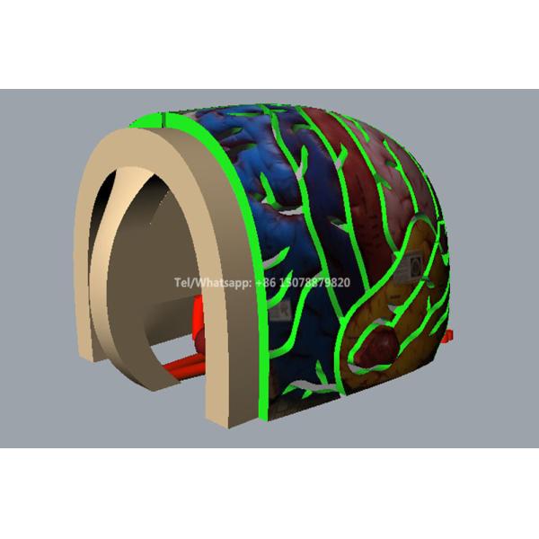 Inflatable Mega Brain Model Organs Exhibition Giant Human Big Brain Tent