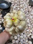 MCU Control Multihead Weigher Packing Machine For Onion Garlic Ginger Intelligen