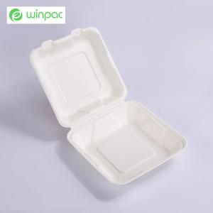 Quality Sustainable Compostable Sugarcane Bagasse Clamshell Takeaway Containers 8 Inch for sale