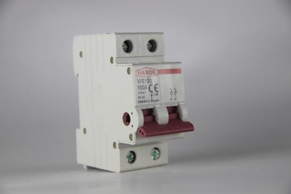 Buy VIS100 2P 63A Main Switch Isolating Circuit Breaker Household Function Disconnector Isolator 125A Top And Bottom Connect at wholesale prices