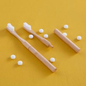 Quality Environmental 90Pcs Chew Tabs Toothpaste Foaming Toothpaste Pills for sale
