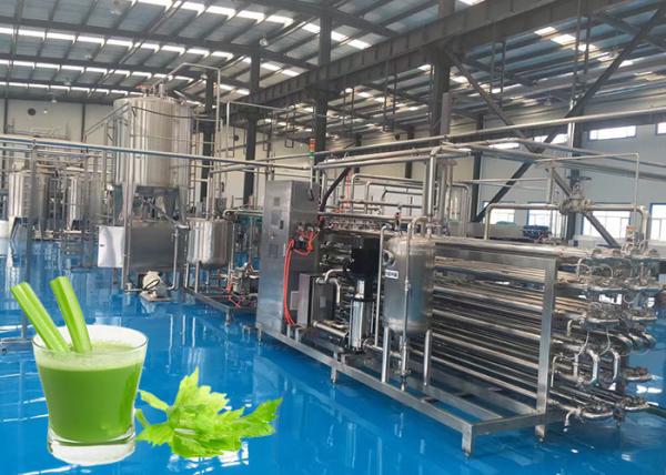 Buy High Efficiency Celery Vegetable Processing Equipment Programmable Control at wholesale prices