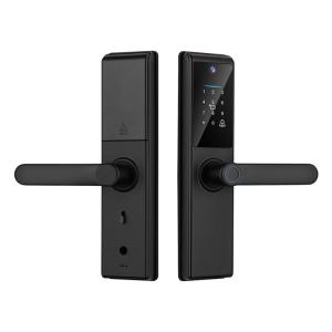 Quality Qleung Tuya Wifi APP Smart Door Knob Remote Control Fingerprint Code Card Key S821Max Home With Camera for sale