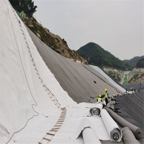 Chinese Design Style High Drainage HDPE 3D Geonet Geocomposite Drainage Network