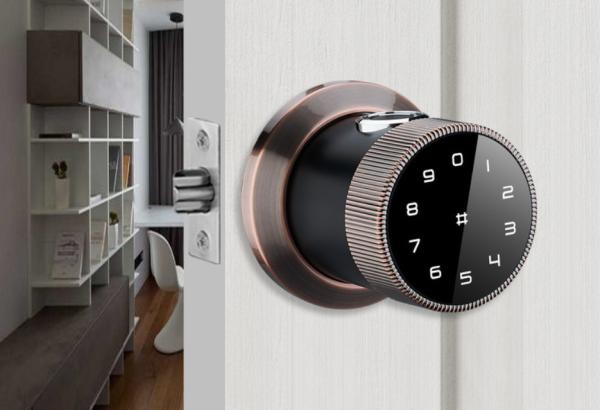 Buy TTLock Electronic Application Remote Control Bluetooth Controlled Lock Cylinder  ,Smart Lock Cylinder at wholesale prices
