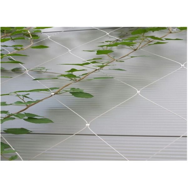 Ferrule Wire Rope Plant Trellis 25x25mm 1.2mm Garden Wire For Climbing Plants