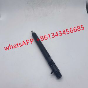 Quality D20DT EJBR04501D Delphi Fuel Injector for sale