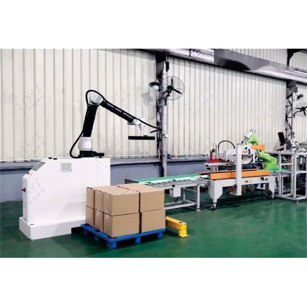 Box End Of Line Carton Erector Sealing Automatic Palletizer / Robot Stacker
