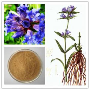 Quality 5:1 Natural Gentian Root Powder Extract Gentiopicroside For Beverage for sale