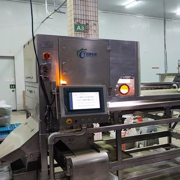 KM-750-2 Stainless Steel Optical Glass Sorting Machine Accurately Identifies Defects