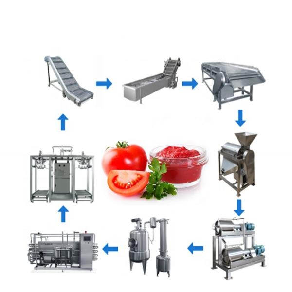 Buy Customizable Fruit Juice Concentrate Machine Beverage Making Machine 1500T/D at wholesale prices
