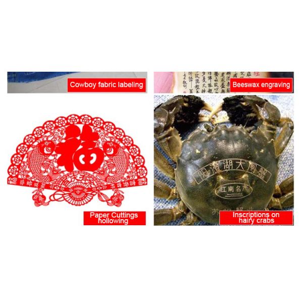 High Speed CO2 Laser Marking Machine For Food Packaging Date And Batch Number Engraving