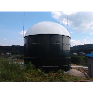 Biogas Plant Project With High Degree Of Automation