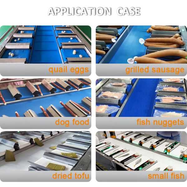 12 Belt 160 Combination Weigher For Fruit Vegetable Aquatic Products